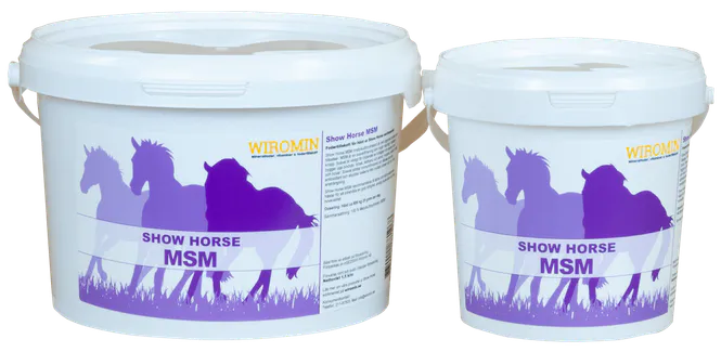 Huvudbild Show Horse MSM