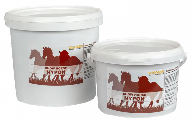 Huvudbild Show Horse Nypon